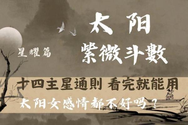 紫微斗数太阳 紫微斗数太阳落陷？