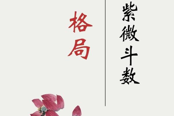 紫微斗数冲 紫微斗数冲破？