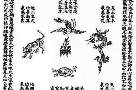 陈五行属什么 陈五行属于哪个星座