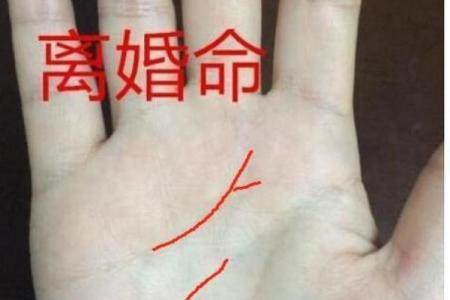 手相算命女人视频