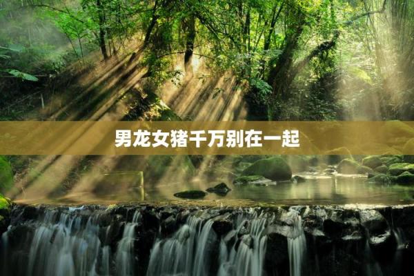 属龙女的星座性格特点及爱情观解析