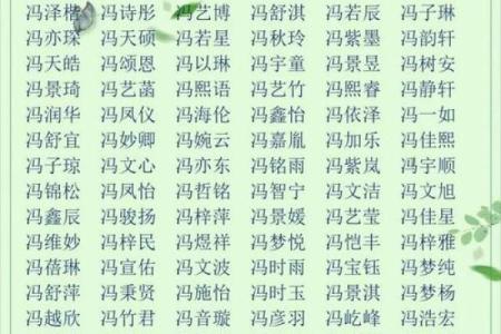 冯姓男孩名字大全-冯姓男孩起名字大全-冯姓名字大全姓名